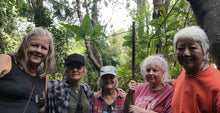 Load image into Gallery viewer, 2025 - April Hawaiian Palm Fiber Art Journey Workshop Week with Shelley Hoist
