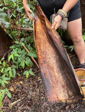 Load image into Gallery viewer, 2025 - April Hawaiian Palm Fiber Art Journey Workshop Week with Shelley Hoist
