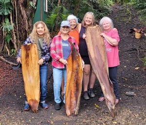 2025 - April Hawaiian Palm Fiber Art Journey Workshop Week with Shelley Hoist